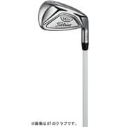 VG3 アイアン TYPE-D Titleist VGI (A) ＃6 レディス 2018年モデル [ゴルフ 単品アイアン]