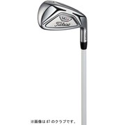 VG3 アイアン TYPE-D Titleist VGI (L) AW レディス 2018年モデル [ゴルフ 単品アイアン]