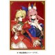 角スリvol.23 コンプティークカバーコレクション Fate/EXTELLA (KS-69) [80枚入]