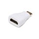 Goggles HDMI(Type A) Female to HDMI (Type C) Male Adaptor GGHFM