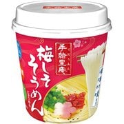手緒里庵 梅しそそうめん 31g