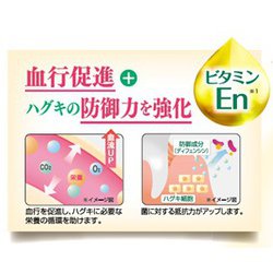 ヨドバシ.com - ガム GUM ガム 歯周プロケア ペースト 高濃度フッ素