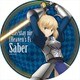Fate/stay night Heaven's Feel カザリー vol.2 セイバー [キャラクターグッズ]