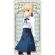 Fate/stay night Heaven's Feel ドミテリア vol.2 セイバー [キャラクターグッズ]