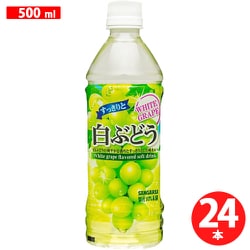 すっきりと白ぶどう 500ml×24本