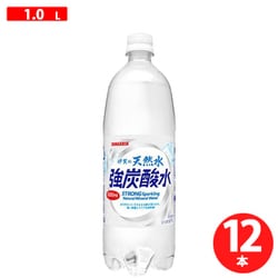 伊賀の天然水 強炭酸水 1000ml×12本 [炭酸水]