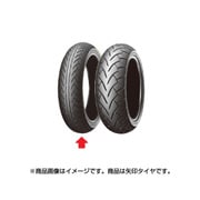 D220FST 120/70R18 M/C?59H TL フロント用 321909