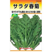 KS200シリーズ（野菜） No.332 サラダ春菊