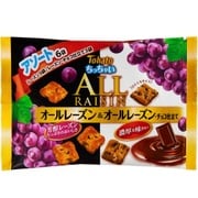 6Pちっちゃいオールアソート レーズン&レーズンチョコ仕立て 126g(21g×6袋)