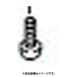ネジ＋BVTT3X6(EP-FE/ZN/CM2 768587101(10本)