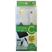 CA004WH [USB Type-Cケーブル]