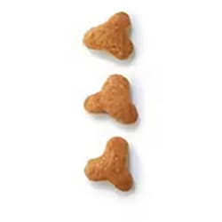 ヨドバシ.com - ROYAL CANIN ロイヤルカナン ロイヤルカナン 猫