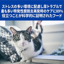 ヨドバシ.com - 日本ヒルズ・コルゲート プリスクリプション