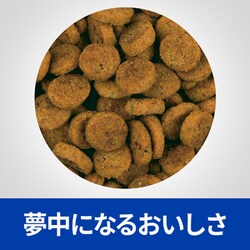 ヨドバシ.com - 日本ヒルズ・コルゲート プリスクリプション