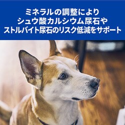 ヨドバシ.com - 日本ヒルズ・コルゲート プリスクリプション