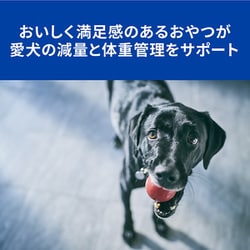 ヨドバシ Com 日本ヒルズ コルゲート プリスクリプション ダイエット ヒルズ 犬用 トリーツ 0g 犬用おやつ 通販 全品無料配達