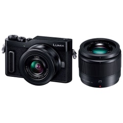 ヨドバシ.com - パナソニック Panasonic DC-GF10W-K ブラック [LUMIX