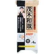 茂木和哉のメラミンクリーナー