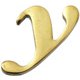 QS20-Y [真鍮ゴールド文字 小文字 y]