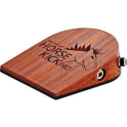 Amazon.com: Ortega Guitars Digital Singer-Songwriter