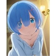 Re：ゼロから始める異世界生活 キャンバスアート レム パジャマ [キャラクターグッズ]