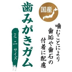 ヨドバシ.com - ペットライン JPスタイル 和の究み 歯みがきガム ミニ