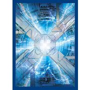 ブロッコリーハイブリッドスリーブ ディメンショナル・ゲート 改 [80枚]