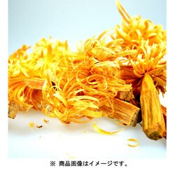 ヨドバシ.com - ブッシュクラフト Bush craft ティンダーウッド