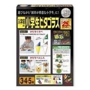 入学前の小学生ピタゴラス [知育玩具]