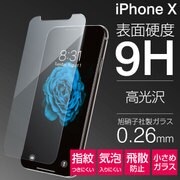 iPhone X プレミアムガラス9H ミニマルサイズ 強化ガラス 液晶保護フィルム [iPhone X用フィルム]