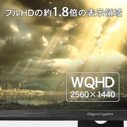 I-O DATA WQHD ディスプレイ モニター 23.8型