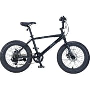 ファットバイク 20インチ（型） 7段変速 ブラック JE-207FT BLACK