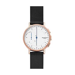 ヨドバシ.com - SKAGEN スカーゲン SKT1112 [SIGNATUR スマート