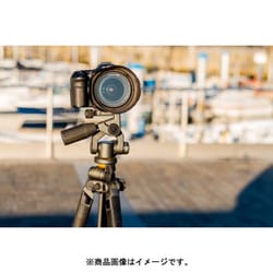 ヨドバシ.com - バンガード VANGUARD ALTA PH-32 [ALTA HEAD(アルタ