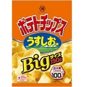 BIGサイズ ポテトチップス うすしお味 190g