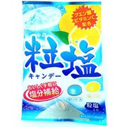 粒塩キャンデー 70g