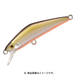 D-コンパクト38 TSハク 05