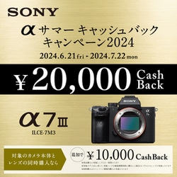 ヨドバシ.com - ソニー SONY ILCE-7M3 [α7 III ボディ 35mmフルサイズ ミラーレスカメラ] 通販【全品無料配達】