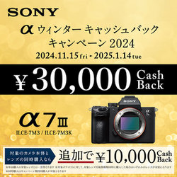 ヨドバシ.com - ソニー SONY ILCE-7M3 [α7 III ボディ 35mmフルサイズ ミラーレスカメラ] 通販【全品無料配達】