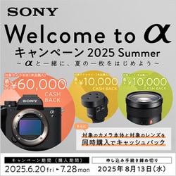 ヨドバシ.com - ソニー SONY ILCE-7M3K [α7 III レンズキット
