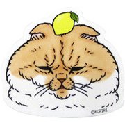 猫世界 ダイカットミラー チロ太郎さん [約 高6×幅6.5×0.5奥cm]