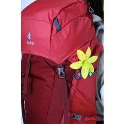 ヨドバシ.com - ドイター deuter スピードライト 30 SL D3410718-5529 マロン×カーディナル [アウトドア系 ザック]  通販【全品無料配達】