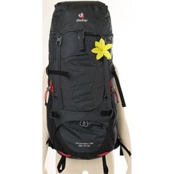 ヨドバシ.com - ドイター deuter エアコンタクトライト 35+10 SL D3340018-4701 グラファイト×ブラック [アウトドア  ザック 35+10L] 通販【全品無料配達】