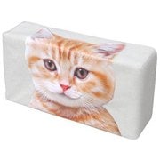 ME323 [ねこのティッシュケース 茶トラ]