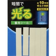 蓄光シール マーキングシール 5枚 10×50mm AF4012