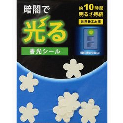 蓄光シール マーキングシール ペタル 10枚 AF4016