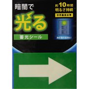 AF2006 [蓄光シール 矢印 1枚]