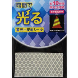 反射蓄光シール 30×60mm 1枚 AFP3060