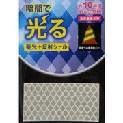 反射蓄光シール 30×60mm 1枚 AFP3060