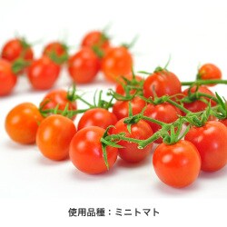 ヨドバシ Com 聖新陶芸 Gd 栽培キット Delish Garden Double デリッシュガーデンダブル イタリアンセット バジル ミニトマト 通販 全品無料配達